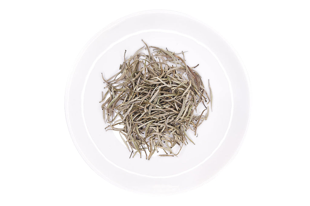 Longsha White Tea (Silver Needles) - Urlong Tea Urlong Tea